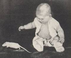 Личности не существует (бихевиоризм)