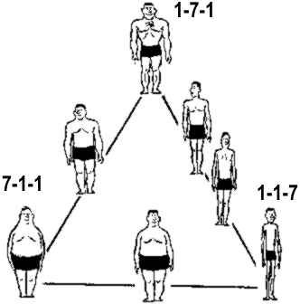 Конституциональная психология (по Шелдону)